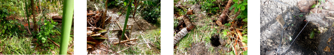Images of work on building fences
              in tropical backyard