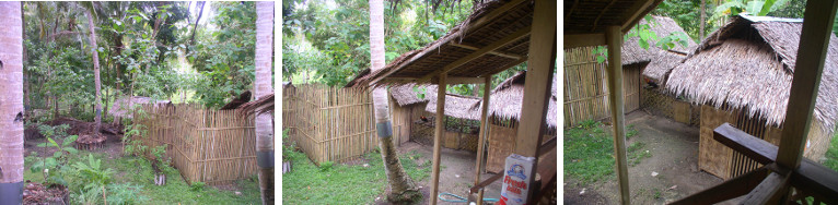 Images of Eastern area tropical garden -December
            2012