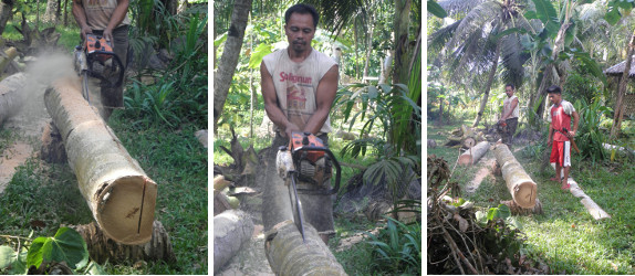 Images of coconut lumber being cut
        with chain saw