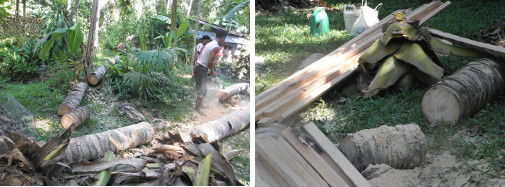Images of coco logs and lumber in
            garden