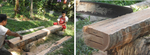 Images of marking out and cutting coco
        lumber with chain saw