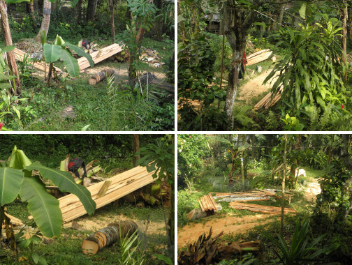 Images of piles of lumber in garden
        after sawing up felled trees