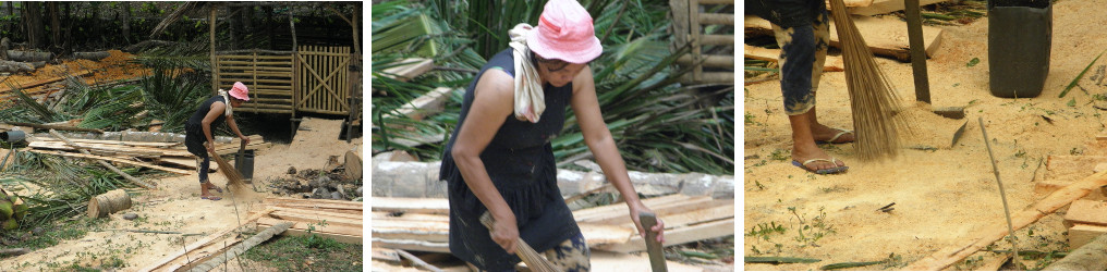 Images of garden being cleared after
          felling coconut trees for lumber