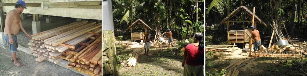 Images of garden being cleared after felling
              coconut trees for lumber