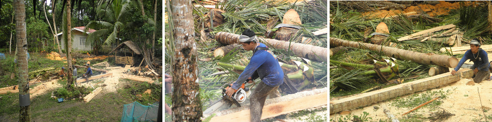 Images of coco lumber being cut by hand