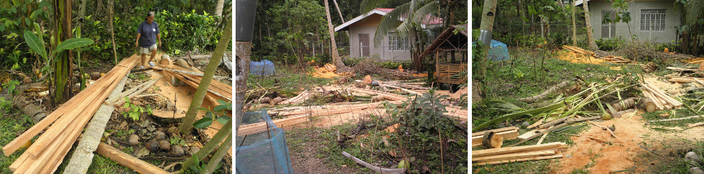 Images of lumber and debris after cutting