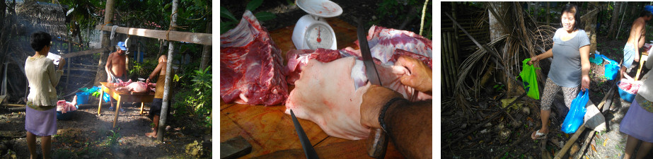 Images of neighbours getting cuts of meat from recently
        slaughtered tropical backyard pig