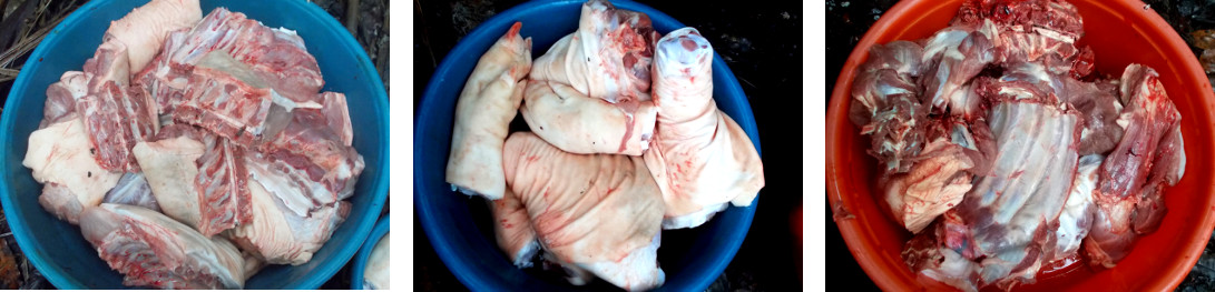 Images of a butchered tropical backyard pig