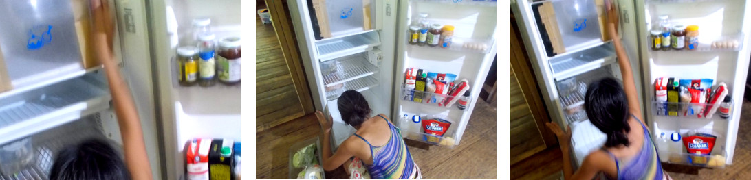 Images of woman cleaning fridge
