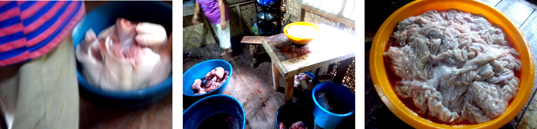 Images of woman in tropical backyard kitchen full of
          meat
