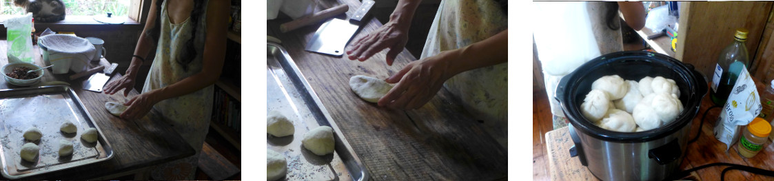 Images of woman making stemed
        dumplings in tropical home