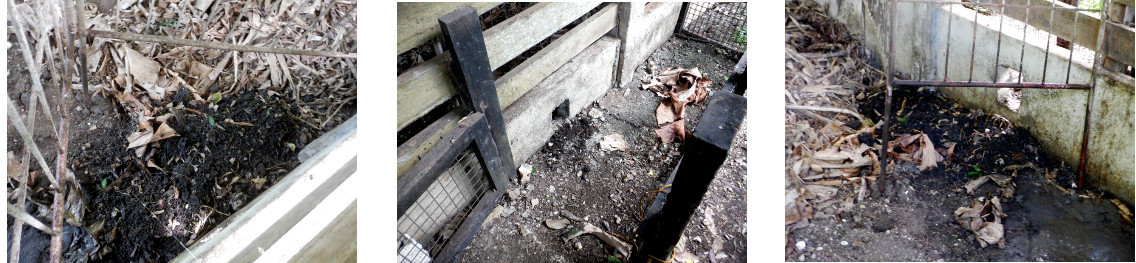 Images of safe creep space in tropical backyard
                piglet pen