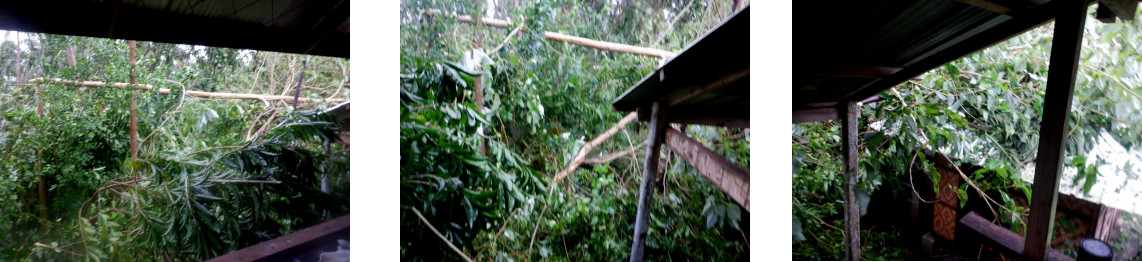 Images of devastation after
          typhoon Rai