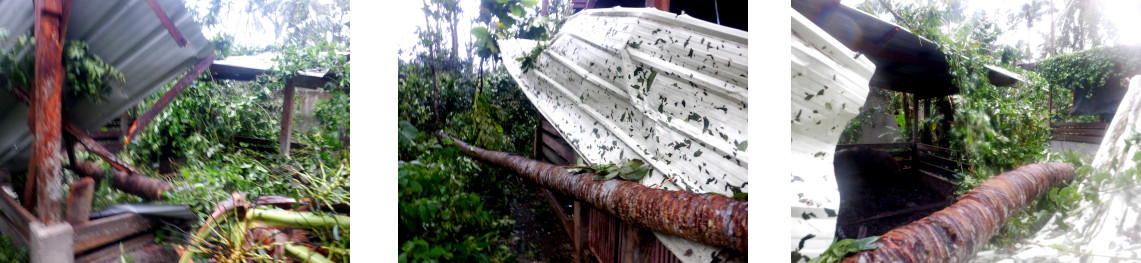 Images of tropical backyard pig
          pen damaged by typhoon Rai