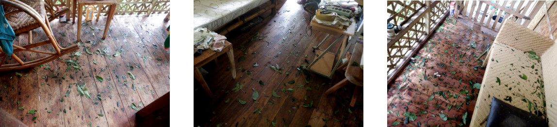 Images of mess in troipical
          house after typhoon Rai