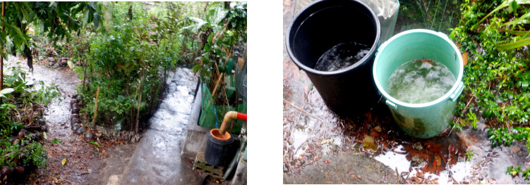 Images of rain in troipical backyard