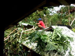 Image of man
          clearing debris from roof after typhoon Rai