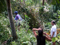 Images of
        people in tropical backyard looking at the damage done by
        typhoon Rai