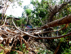 Image of
            debris from typhoon Rai