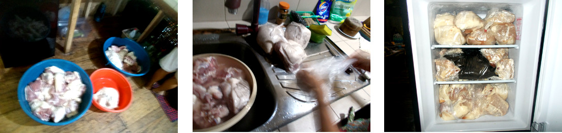 Images of meat from tropical
              backyard piglet prepared for the freezer