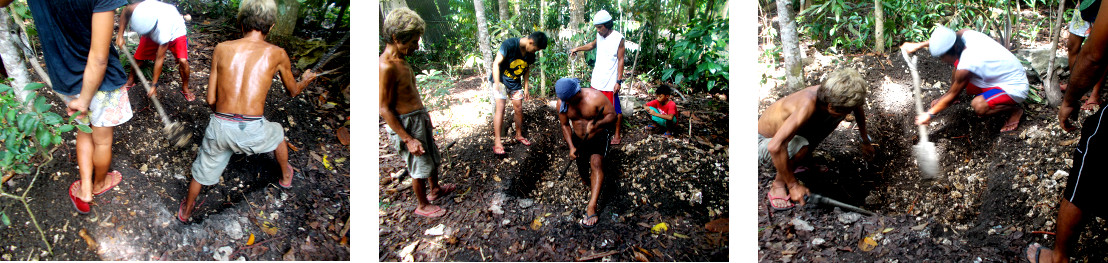 Images of digging a grave for a
            dead tropical backyard sow