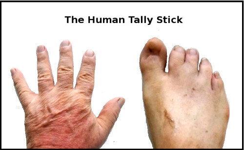 Images of human hand and foot -for
            counting