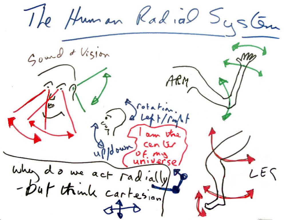 Our body, including head, arms, legs, eyes and ears
          -operates radially. So why do we act radially but think
          Cartesian?